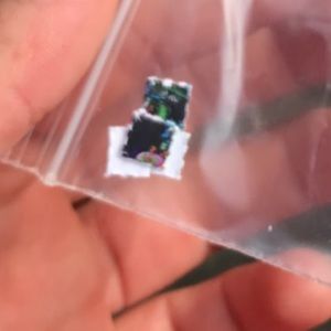 Meet your Posher, Dylan